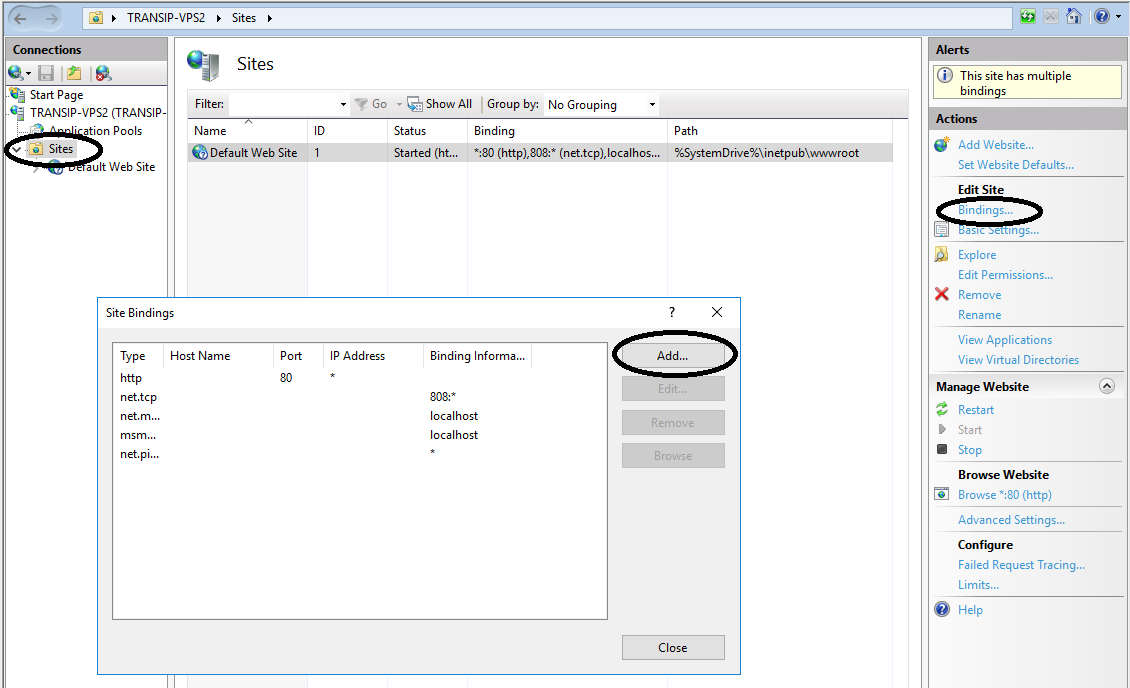 iis manager bindings