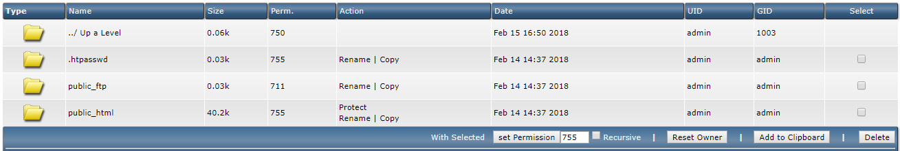 DirectAdmin file manager domains overview