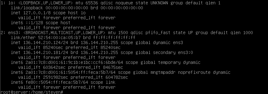 debian 9 ip a output with 2 ips