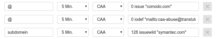 More examples for CAA records