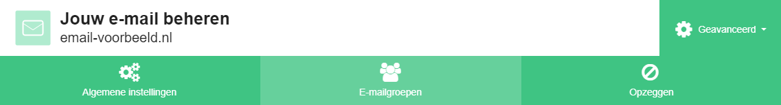 Klik op 'E-mailgroepen'