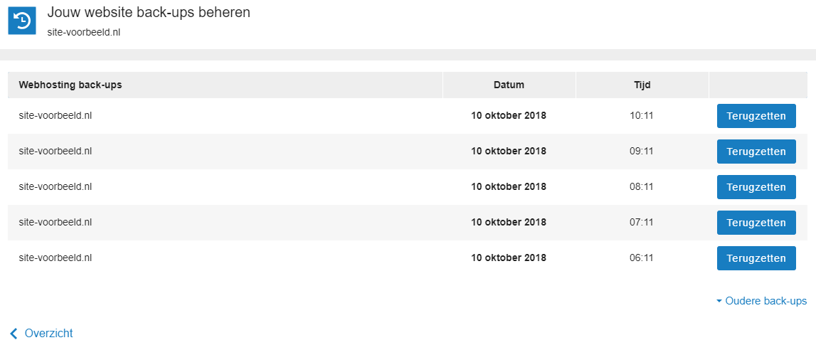 Website back-ups