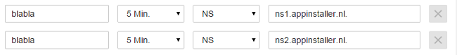 ns_record